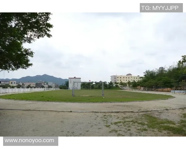 圆梦足球科赫携手青少年共筑足球梦想的未来之路