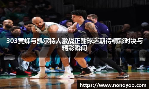 303黄蜂与凯尔特人激战正酣球迷期待精彩对决与精彩瞬间